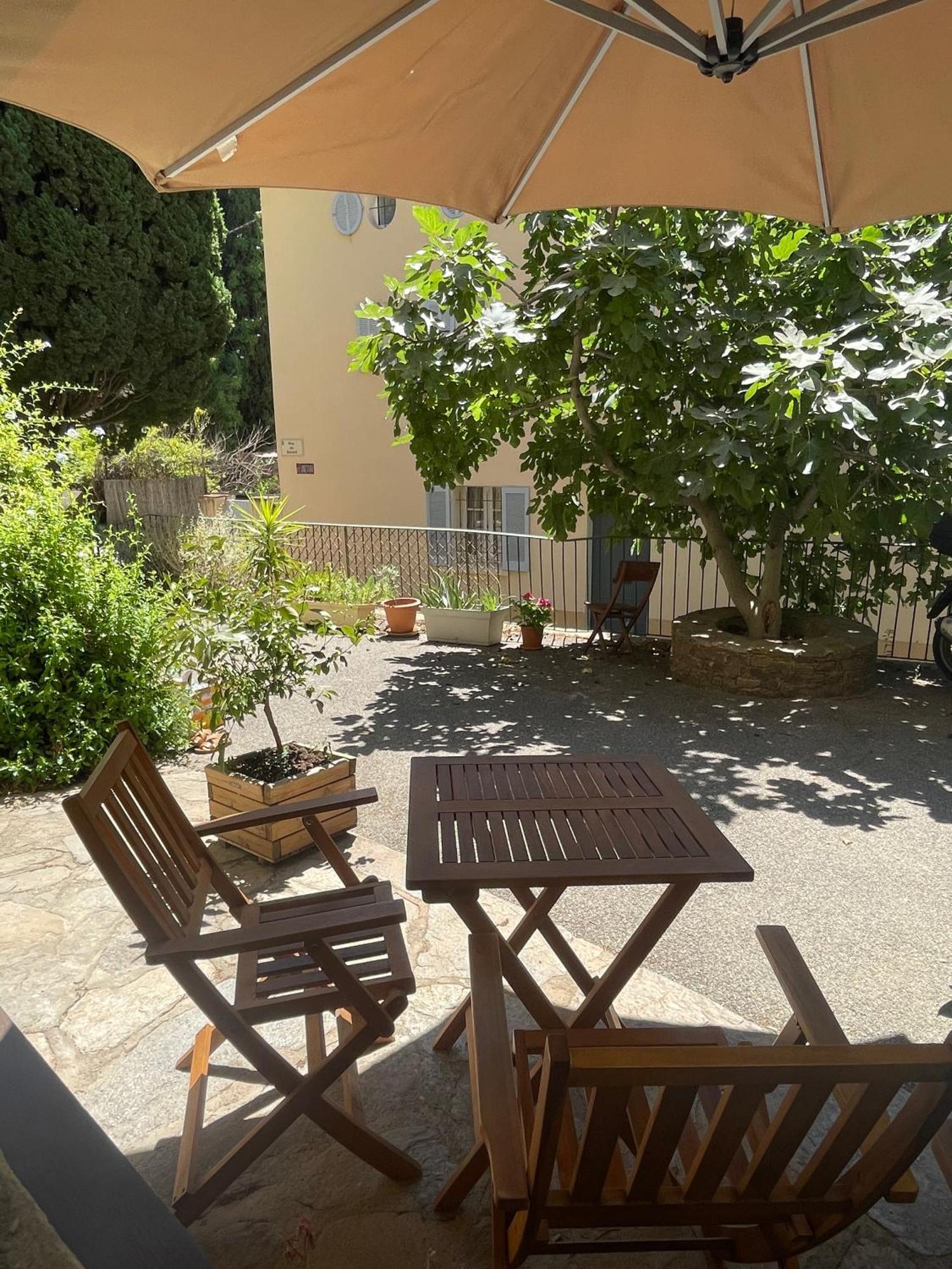 Cosy Studio - Place Du Figuier Борм-ле-Мимоза Экстерьер фото